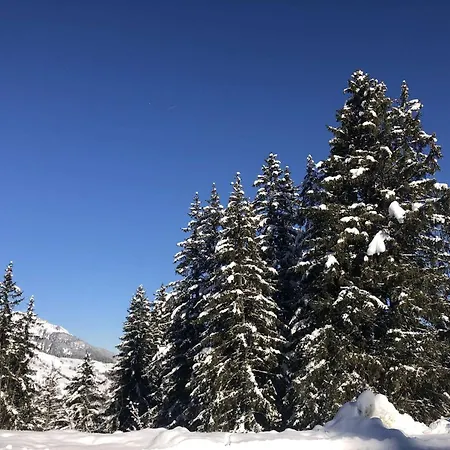 Résidence Pierrer - Le Pierrer 12 - Joli Entièrement Refait à Neuf. Mae-1353 Valmorel